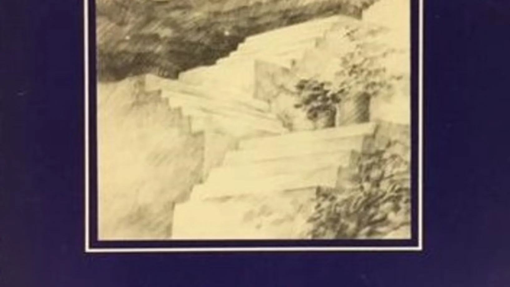 Bild_Buch_Bernoulli_Website.jpg